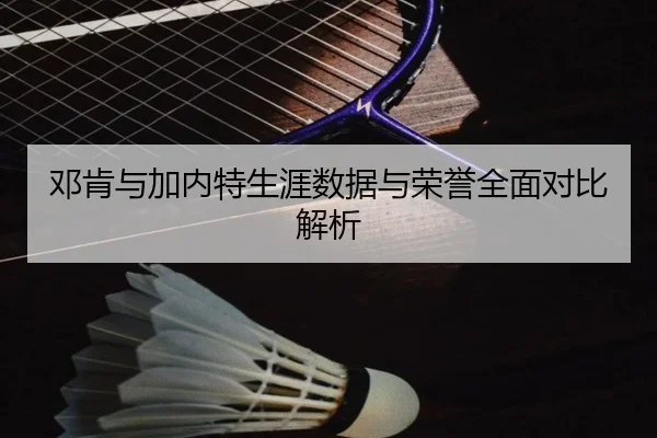 邓肯与加内特生涯数据与荣誉全面对比解析